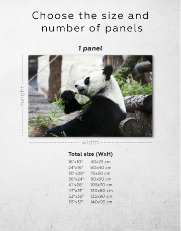 Resting  Panda Bear Canvas Wall Art - image 1