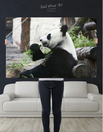 Resting  Panda bear Canvas Wall Art - image 1