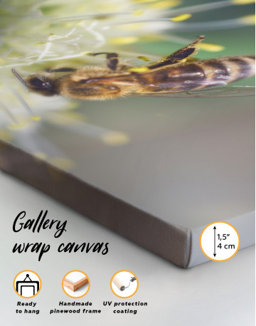 Bee collects nectar on a white flower Canvas Wall Art - image 6