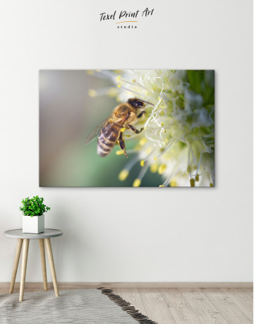 Bee collects nectar on a white flower Canvas Wall Art - image 7