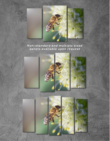 Bee collects nectar on a white flower Canvas Wall Art - image 4