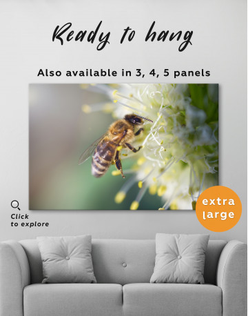 Bee collects nectar on a white flower Canvas Wall Art - image 2