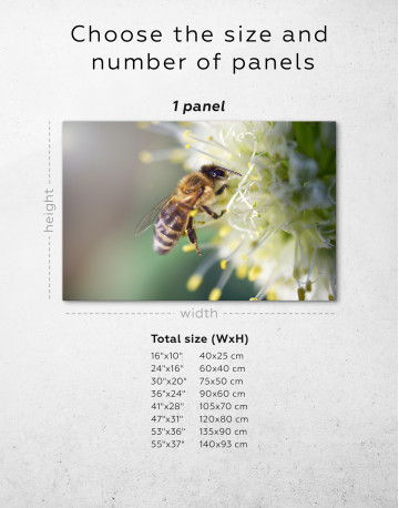 Bee collects nectar on a white flower Canvas Wall Art - image 8