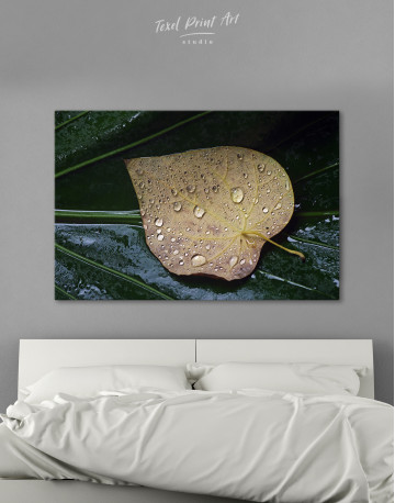 Water Droplets on Leaf Canvas Wall Art