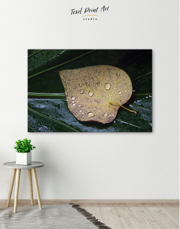 Water Droplets on Leaf Canvas Wall Art - image 8