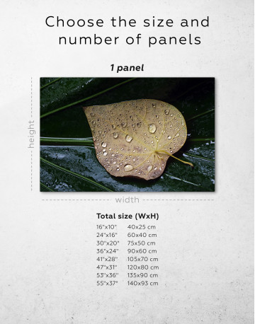 Water Droplets on Leaf Canvas Wall Art - image 1