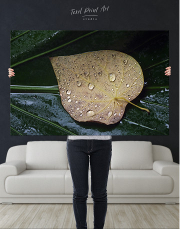 Water Droplets on Leaf Canvas Wall Art - image 2