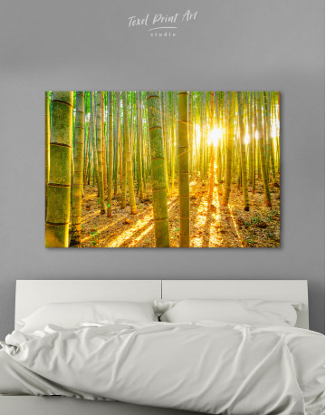 Morning Bamboo Forest Canvas Wall Art