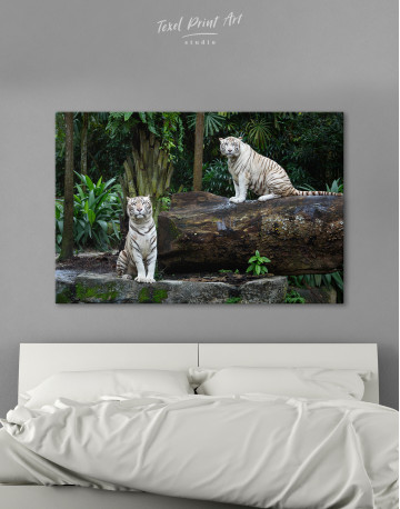 White Bengal Tigers in a Jungle Canvas Wall Art