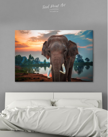 Wild Elephant Canvas Wall Art
