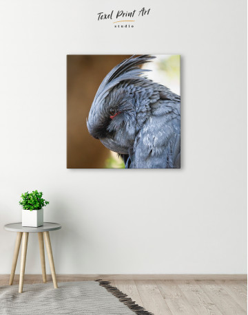 Grey Cockatoo Canvas Wall Art