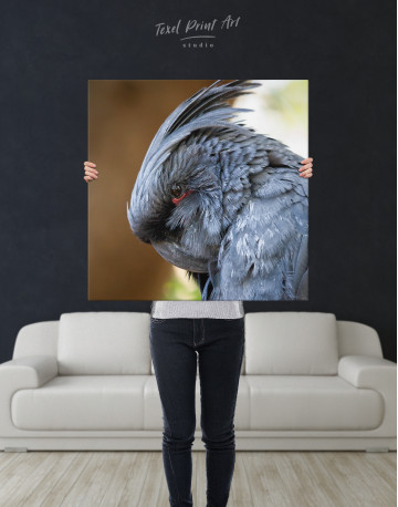 Grey Cockatoo Canvas Wall Art - image 1