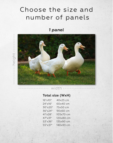 Funny Quacking Ducks Canvas Wall Art - image 8