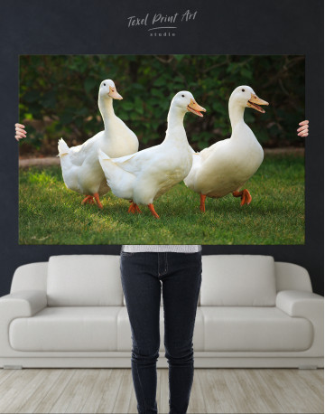 Funny Quacking Ducks Canvas Wall Art - image 6