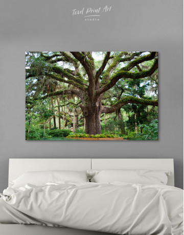 Large Tree in a Park Canvas Wall Art