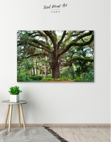Large Tree in a Park Canvas Wall Art - image 1