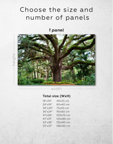Large Tree in a Park Canvas Wall Art - image 8