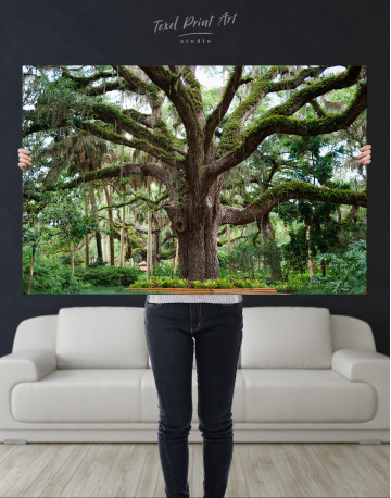 Large Tree in a Park Canvas Wall Art - image 7