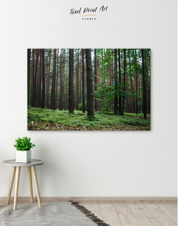 Beautiful Scenery of the Trees in the Forest Canvas Wall Art - image 4