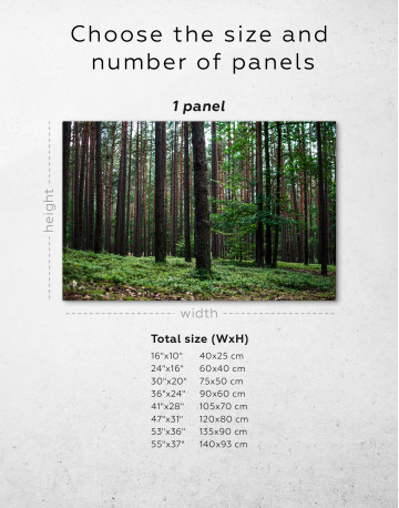 Beautiful Scenery of the Trees in the Forest Canvas Wall Art - image 1