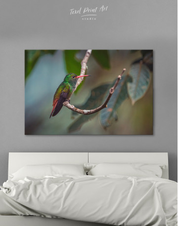 Tiny Hummingbird on a Tree Branch Canvas Wall Art