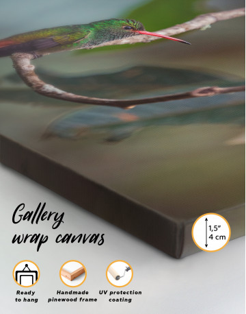 Tiny Hummingbird on a Tree Branch Canvas Wall Art - image 7
