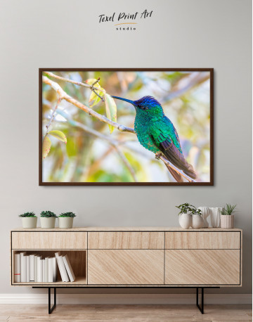 Framed Hummingbird on a Tree Branch Canvas Wall Art