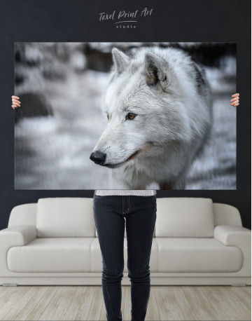 Arctic Wolf Canvas Wall Art - image 6