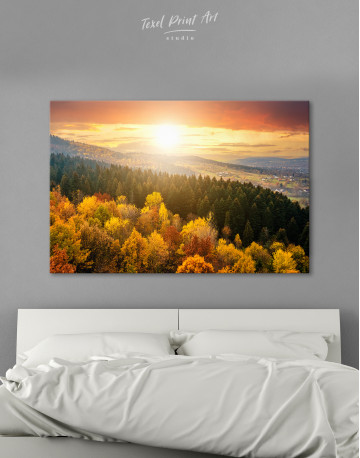 Pine Forest with in Autumn Canvas Wall Art