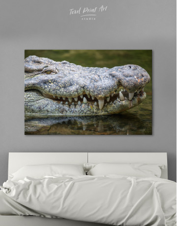 Big African Crocodile Canvas Wall Art