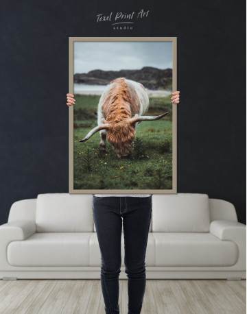 Framed Scottish Highland Calf Canvas Wall Art - image 1