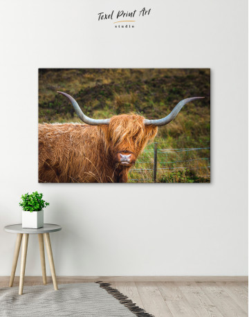 Scottish Highland Cow Canvas Wall Art - image 4