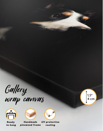Close up Border Collie Canvas Wall Art - image 7