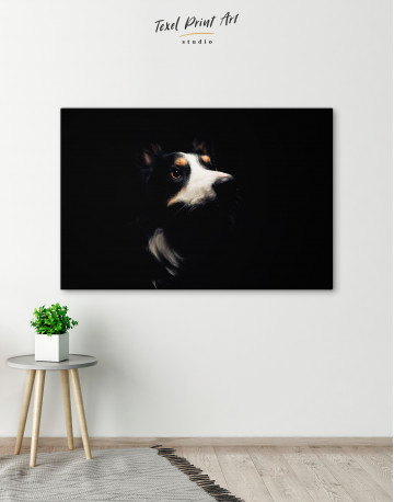 Close up Border Collie Canvas Wall Art - image 5