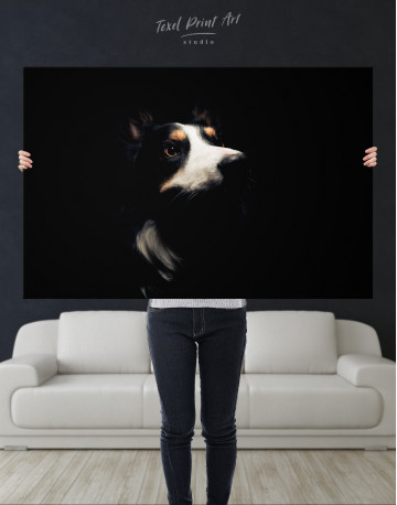 Close up Border Collie Canvas Wall Art - image 1