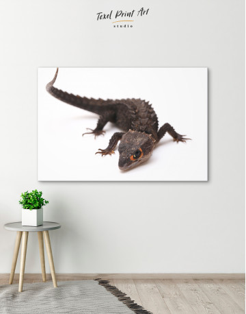 Red-eyed Skinks Lizard Canvas Wall Art - image 5