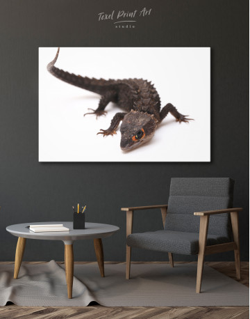 Red-eyed Skinks Lizard Canvas Wall Art - image 3