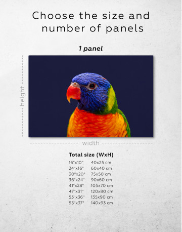 Close up Rainbow Lorikeet Parrot Canvas Wall Art - image 1