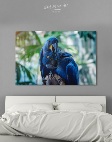 Hyacinth Macaw Canvas Wall Art