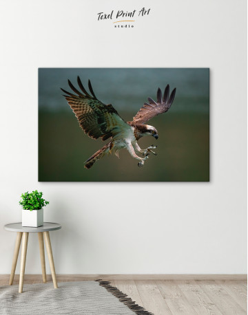Amazing Osprey Canvas Wall Art - image 5