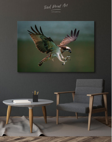 Amazing Osprey Canvas Wall Art - image 3