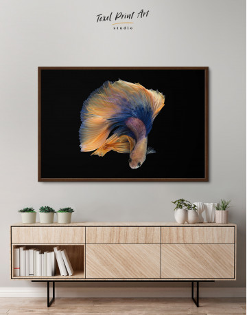 Framed Halfmoon Betta Fish Canvas Wall Art
