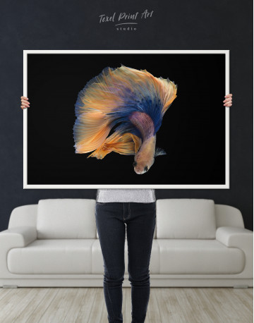 Framed Halfmoon Betta Fish Canvas Wall Art - image 1