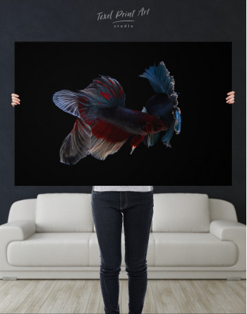 Siamese Fighting Fishes Photo Canvas Wall Art - image 8