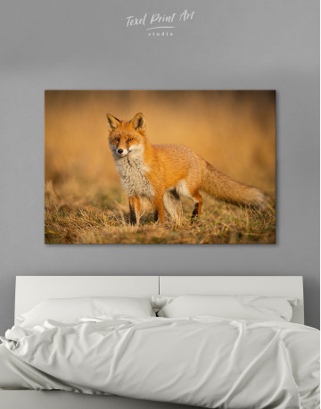 Red Fox in Wild Nature Canvas Wall Art