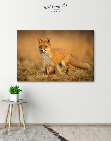 Red Fox in Wild Nature Canvas Wall Art - image 4