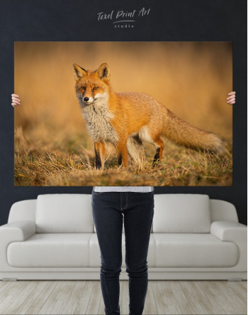 Red Fox in Wild Nature Canvas Wall Art - image 1