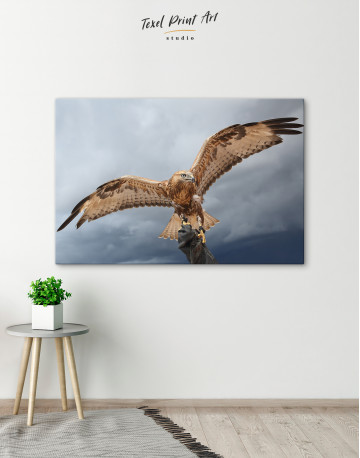 Red Tail Hawk Canvas Wall Art - image 5