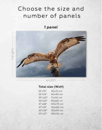Red Tail Hawk Canvas Wall Art - image 8