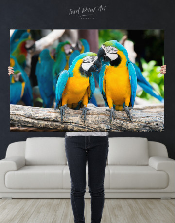 Two Blue and Yellow Macaw Parrots Canvas Wall Art - image 1